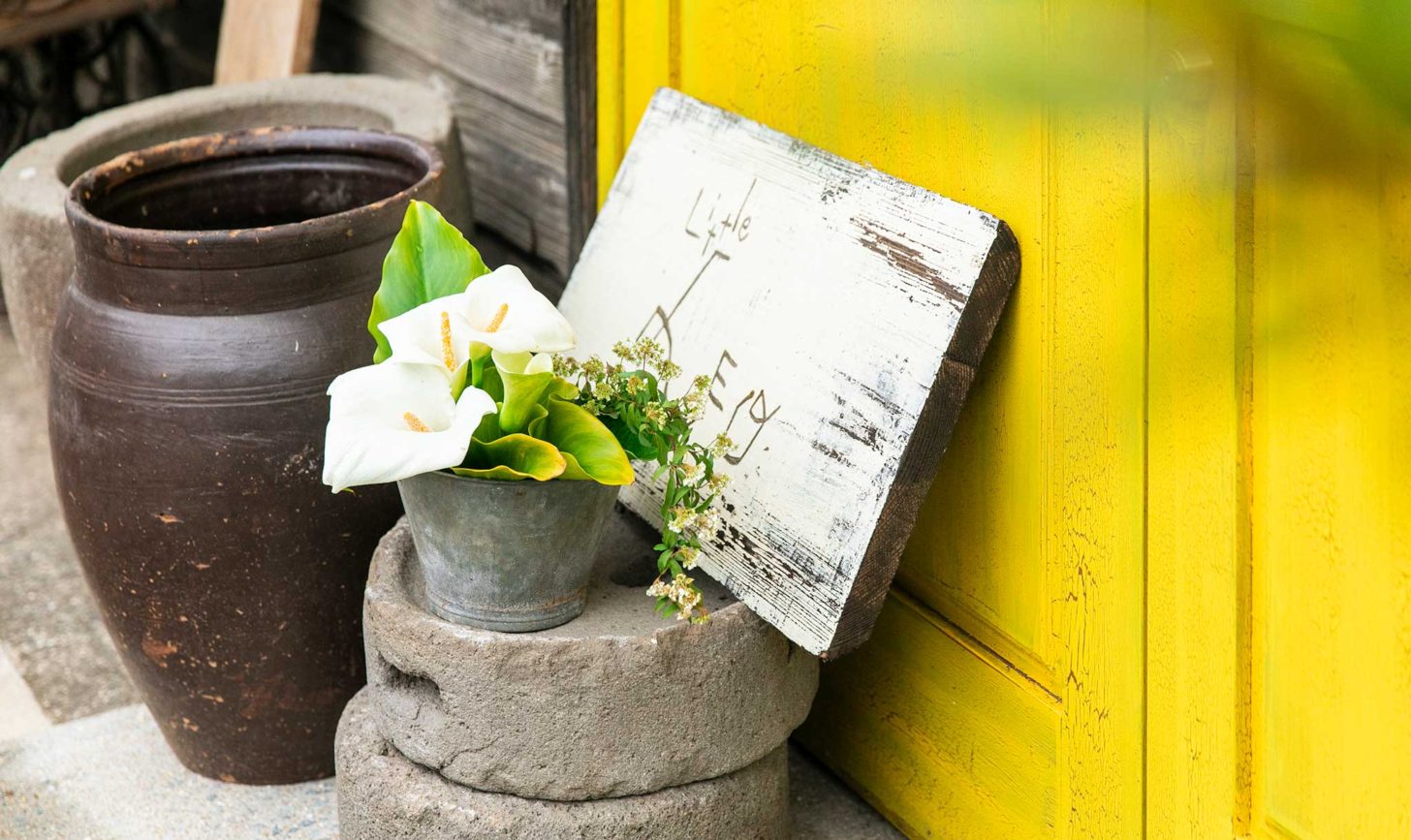 長崎県東彼杵町 Little LEO